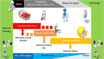 Integrating Heat Training in the Rehabilitation Toolbox for the Injured Athlete